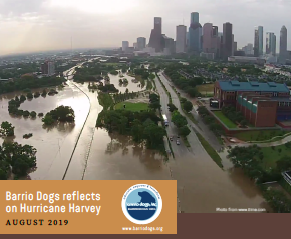 Barrio Dogs Reflecting on Hurricane Harvey